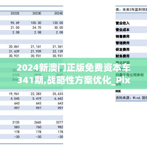 ＂2024新澳門(mén)正版免費(fèi)資本車(chē)＂的：決策支持方案_裝飾版8.43