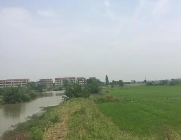 樟樹市洲上鄉(xiāng)最新發(fā)展規(guī)劃揭秘，未來藍圖與發(fā)展動向