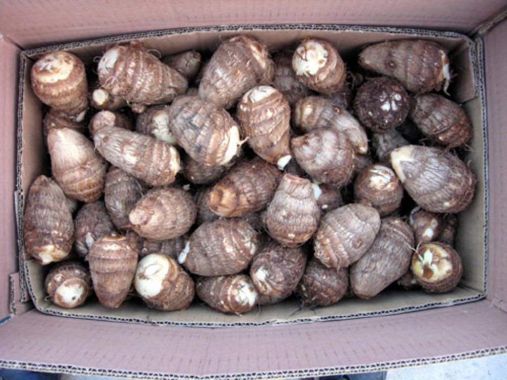 建筑裝修裝飾工程 第97頁