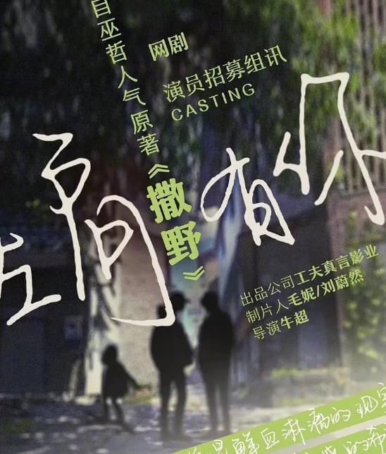 撒野電視劇,撒野電視劇，制作與觀賞的全步驟指南