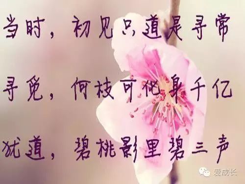 三行情書策劃活動方案或策略指南