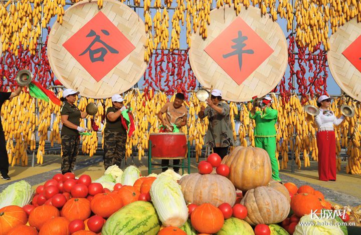 五谷豐收最新一期，農(nóng)業(yè)科技的豐收盛宴，展望豐收喜悅