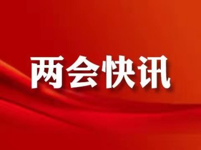 兩會(huì)刑法修訂新內(nèi)容詳解及學(xué)習(xí)指南，理解新條例的步驟與要點(diǎn)分析