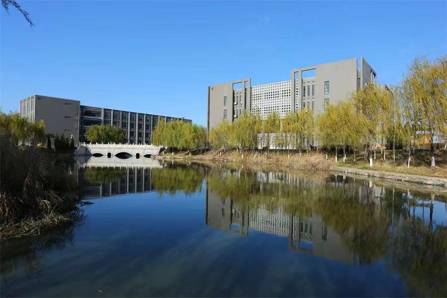 沈陽(yáng)化工股票最新動(dòng)態(tài)，股市故事與最新資訊