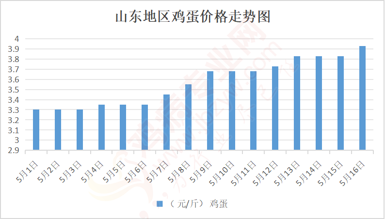 聊城雞蛋行情探秘，小巷鮮味背后的市場(chǎng)秘密