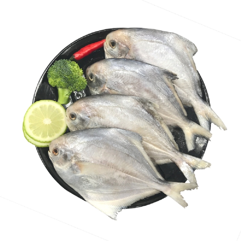 小巷深處的鮮味秘密，揭秘鯧魚價格與美味之謎