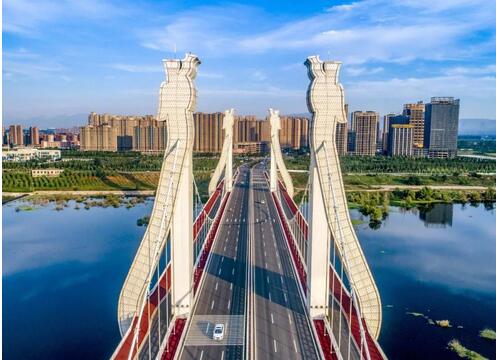 大洛陽(yáng)最新資訊概覽