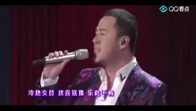 火歌最新，小巷深處的獨(dú)特音符