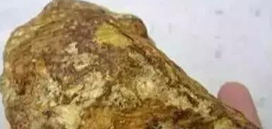 最新沙殼重塑生活，未來科技的魅力體驗(yàn)