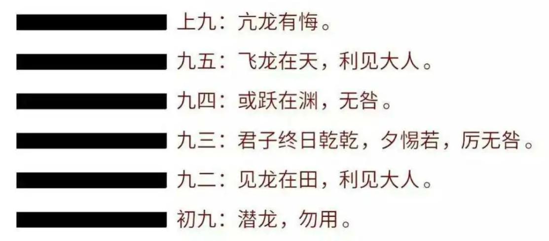 小巷深處的文字盛宴，最新閱讀摘錄匯總