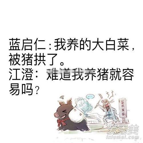 最新兔子梗，溫馨日常與友情故事