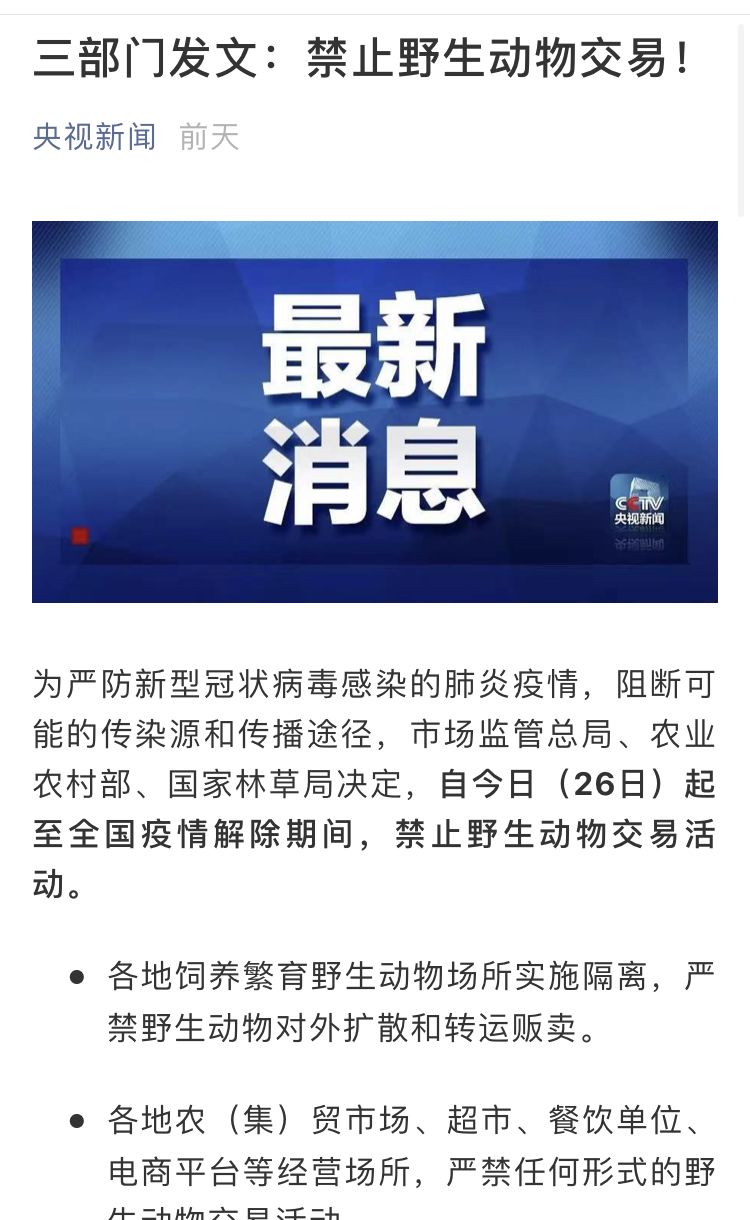 疫情下的學(xué)習(xí)變革，鑄就自信與成就的力量之路
