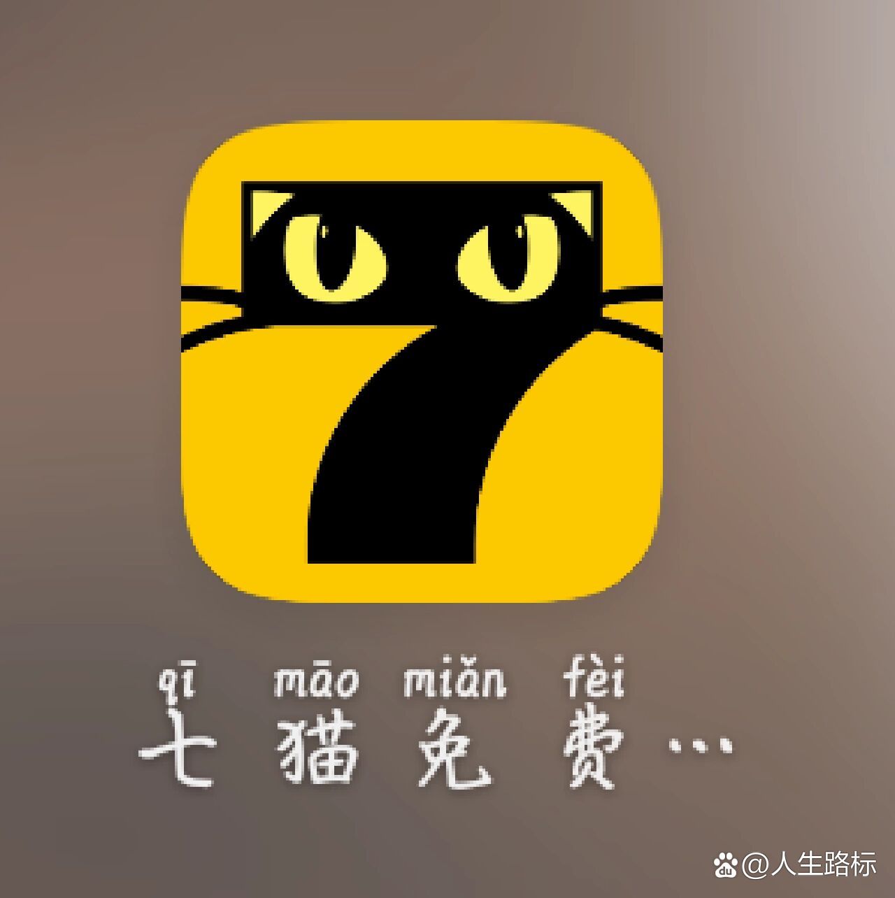 七貓最新，現(xiàn)代養(yǎng)貓新趨勢與知識探索