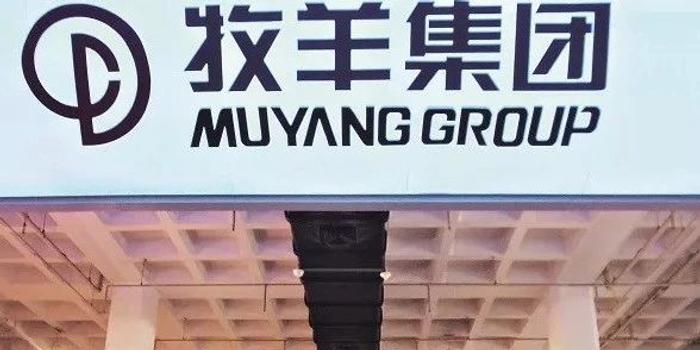 牧羊案迷霧重重，真相揭秘之路