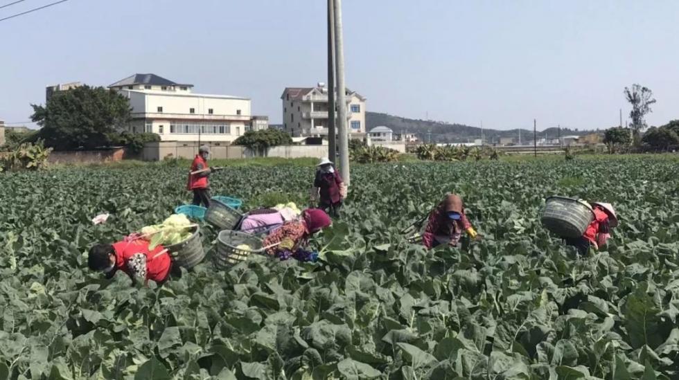第9頁