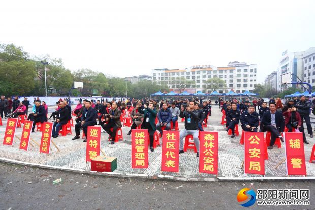 洞口紅網(wǎng)最新新聞，擁抱自然，心靈洗滌之旅