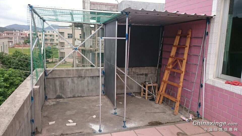 樓頂鴿棚搭建新圖，構(gòu)建理想鴿子家園