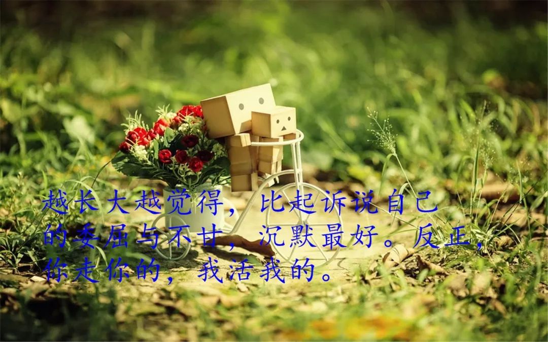 最新經(jīng)典說說，網(wǎng)絡(luò)言論多元解讀與個人立場探析